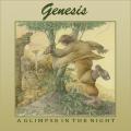 Genesis  - A Glimpse In The Night